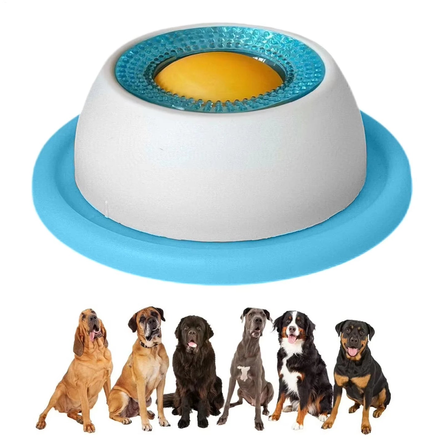 Gamelle anti-glouton